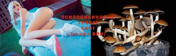 не бодяженный Армянск
