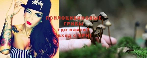 spice Аркадак