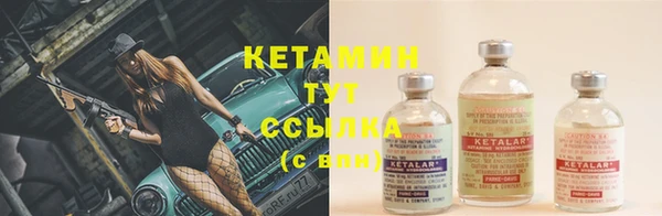 spice Аркадак