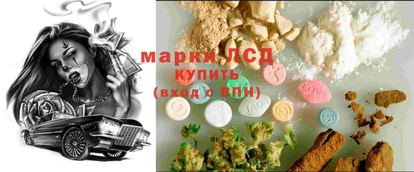 spice Аркадак