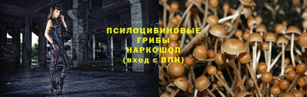 не бодяженный Армянск